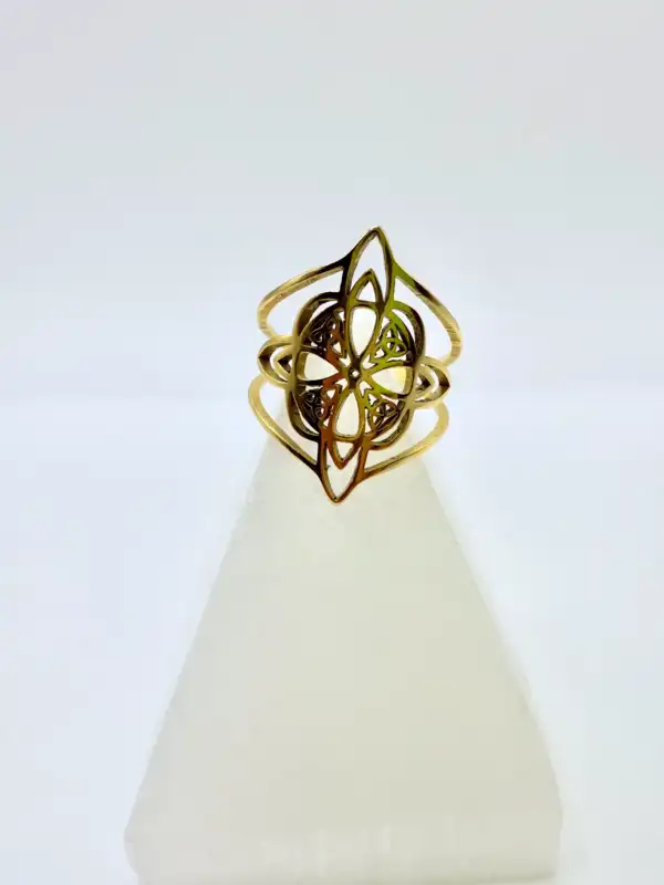 Anillo Nudo De Bruja Acero Dorado Regulable