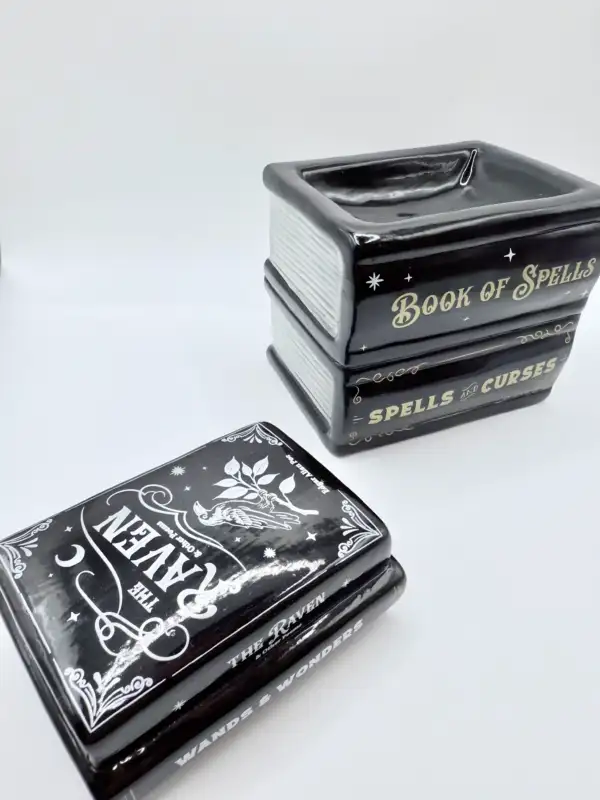Quemador Libros - Imagen 3