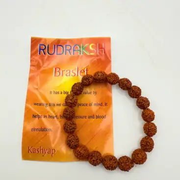 Pulsera Rudraksha