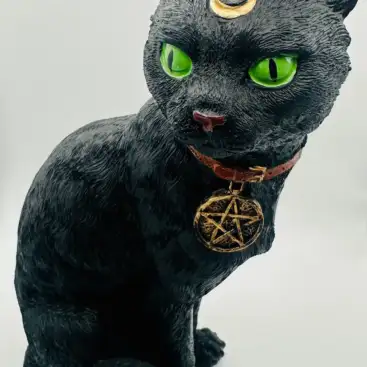 Gato Negro Grande De Pie
