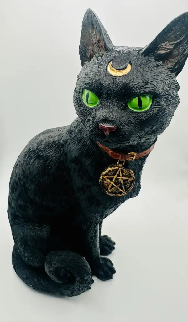 Gato Negro Grande De Pie