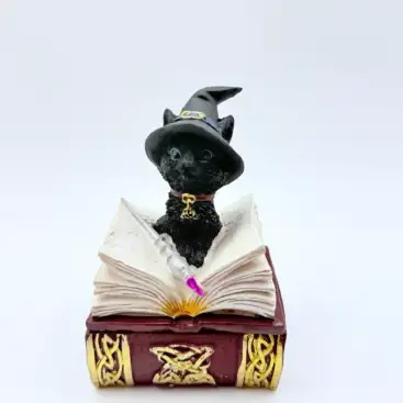 Caja Gato
