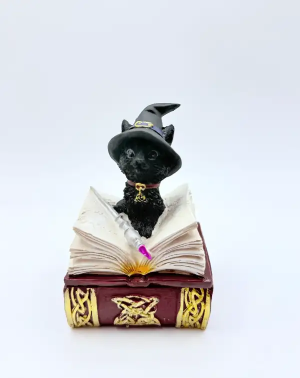 Caja Gato