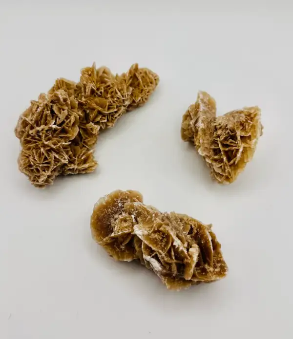 Rosa Del Desierto