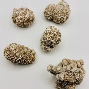 Rosa Del Desierto Blanca