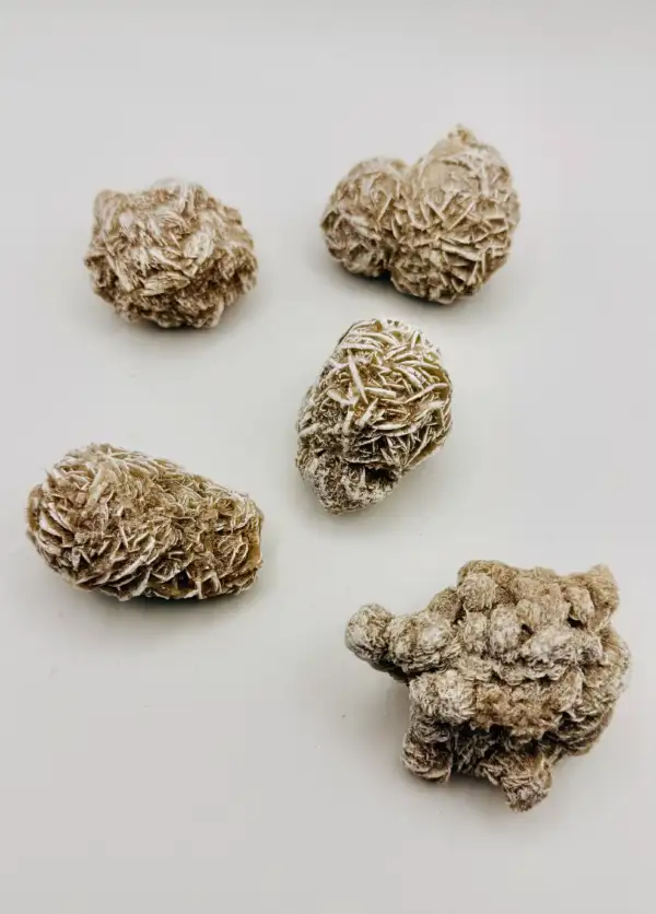 Rosa Del Desierto Blanca
