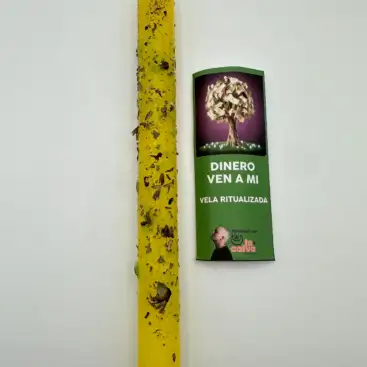 Vela Dinero Ven A Mi