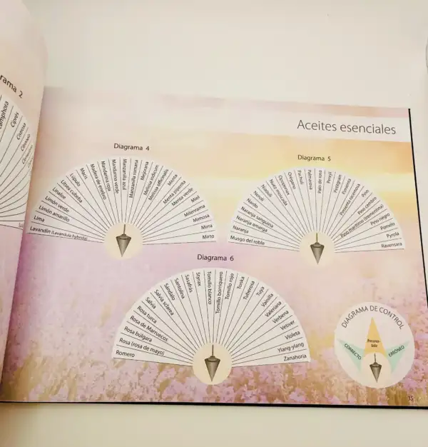 El Gran Libro Del Pendulo - Imagen 4