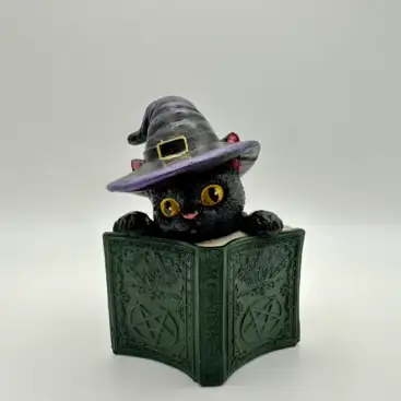 Gato Brujo Con Libro 11 Cm
