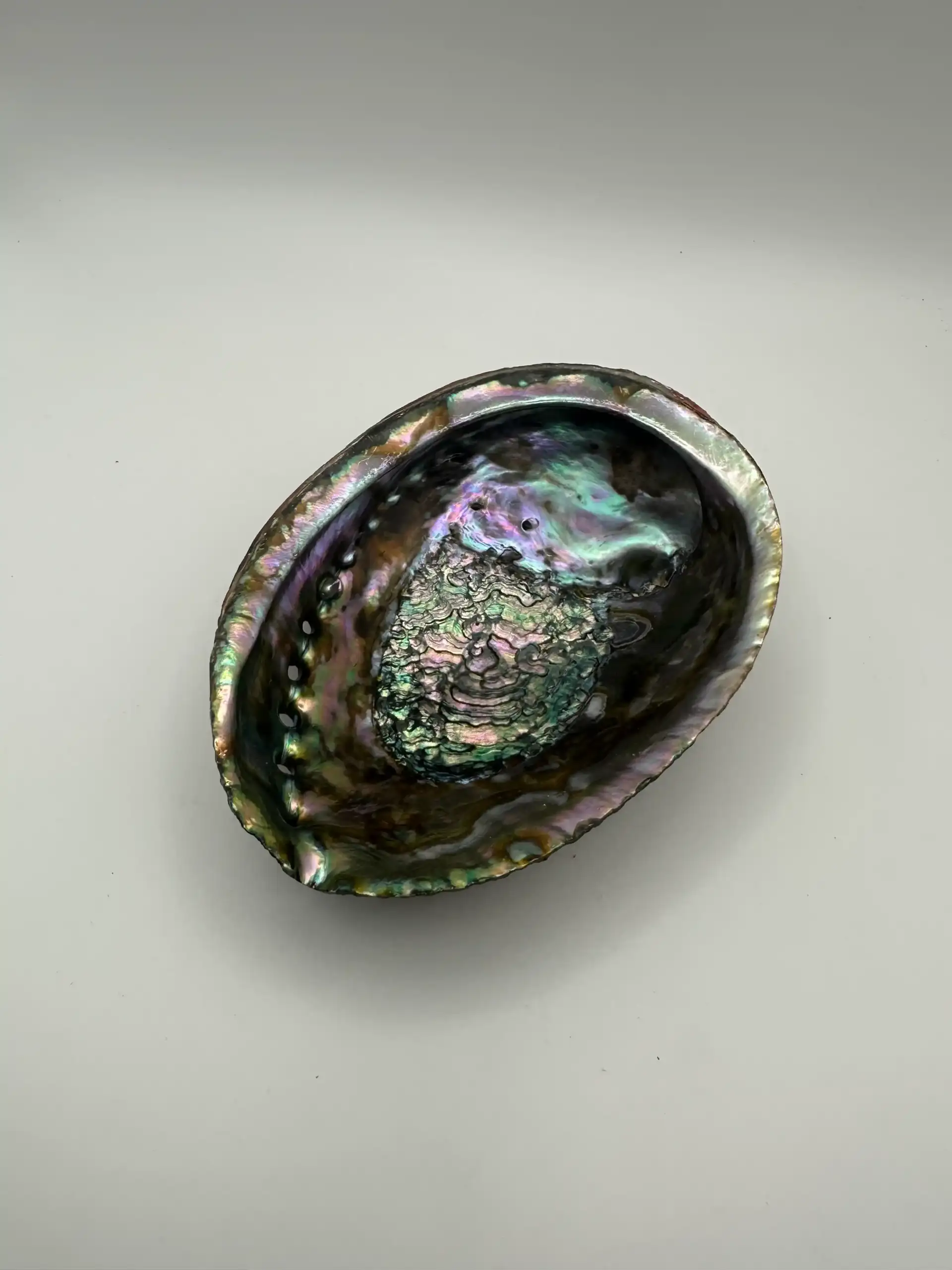 Abalon Grande Joyero - Imagen 2