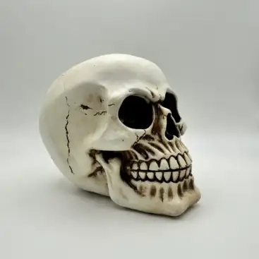 Figura Calavera Color Natural 12Cm