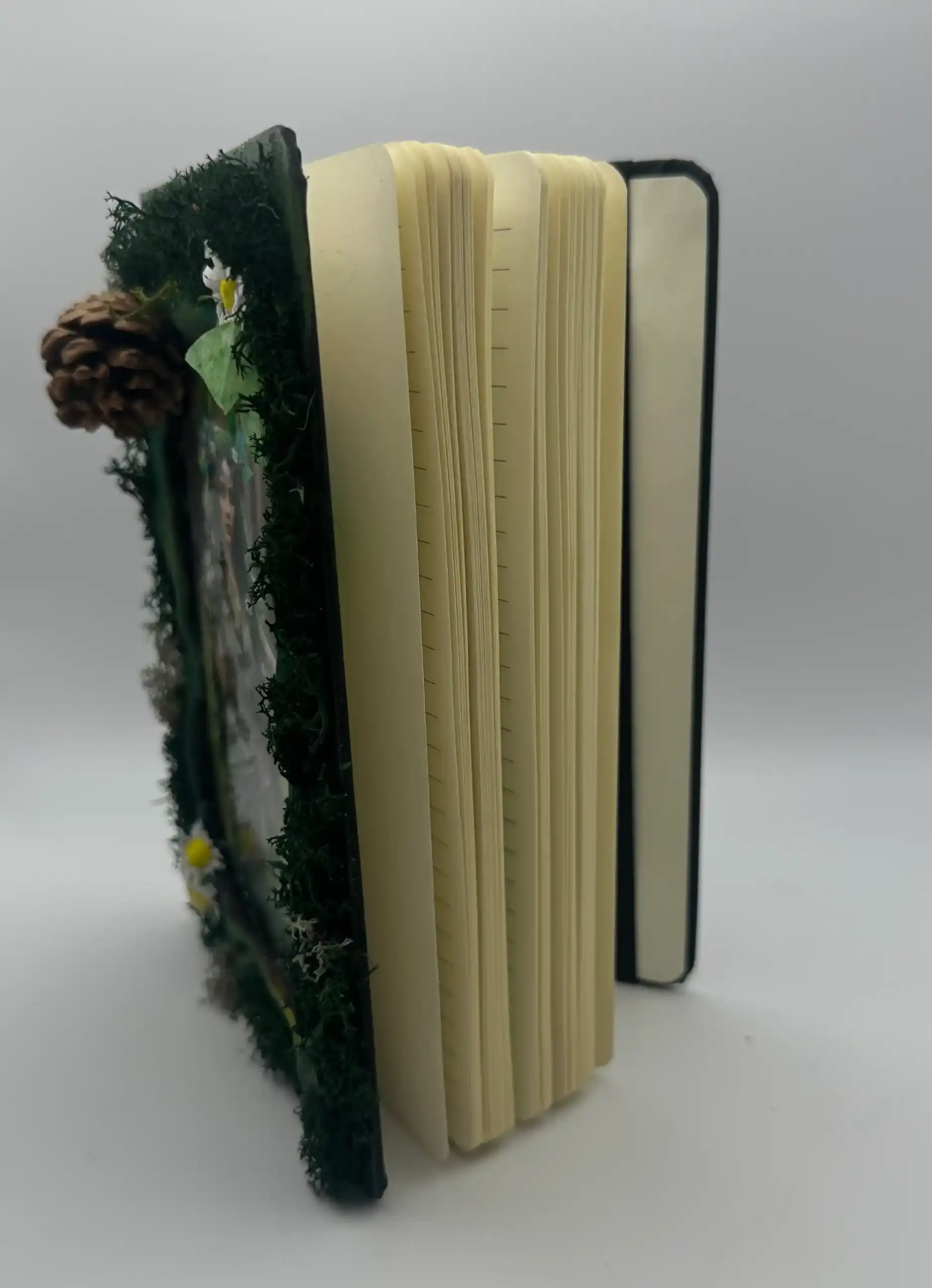 Grimorio Hada Verde - Imagen 3