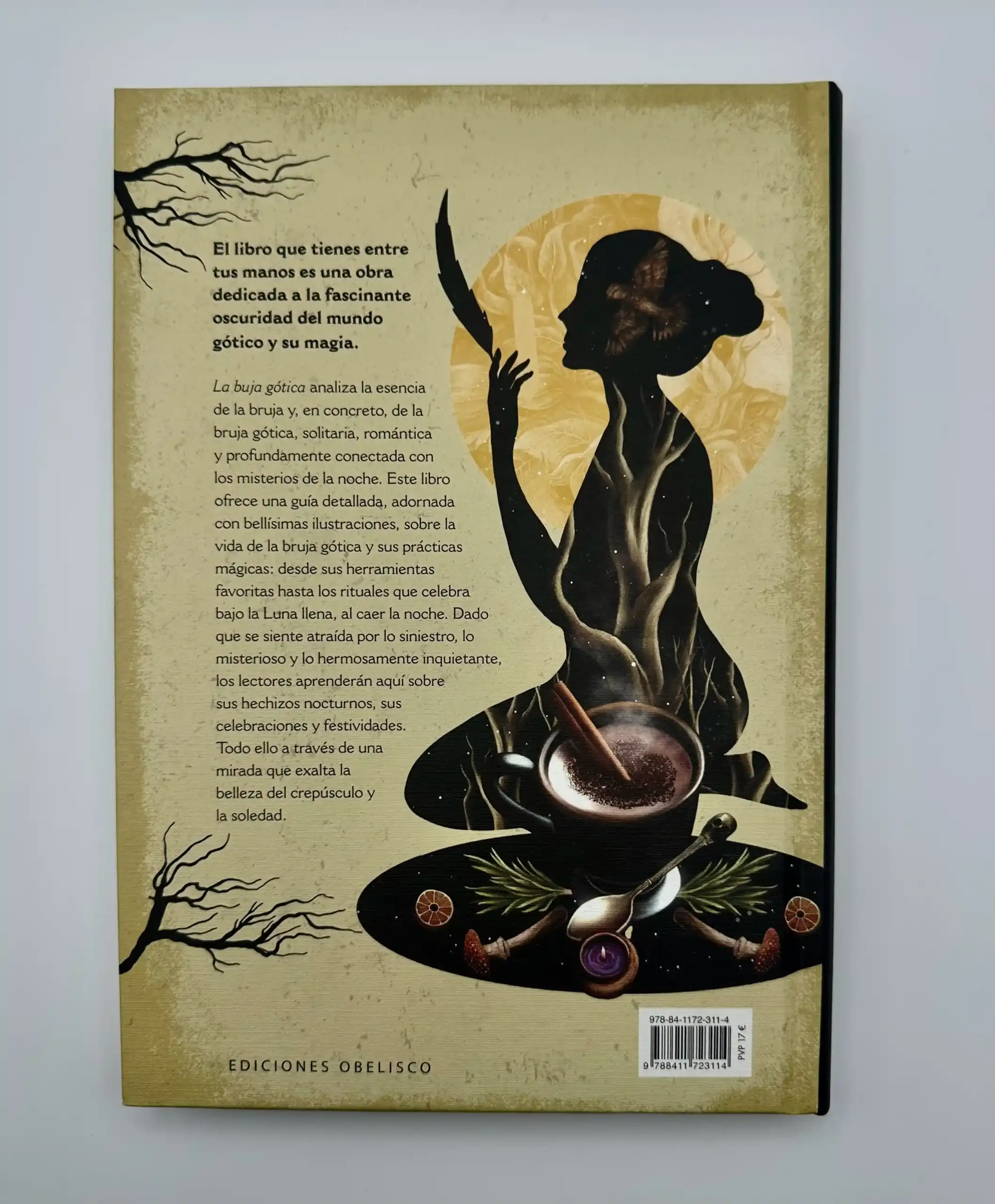 La Bruja Gotica - Imagen 2