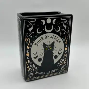 Jarrón Con Forma De Libro Gato Negro