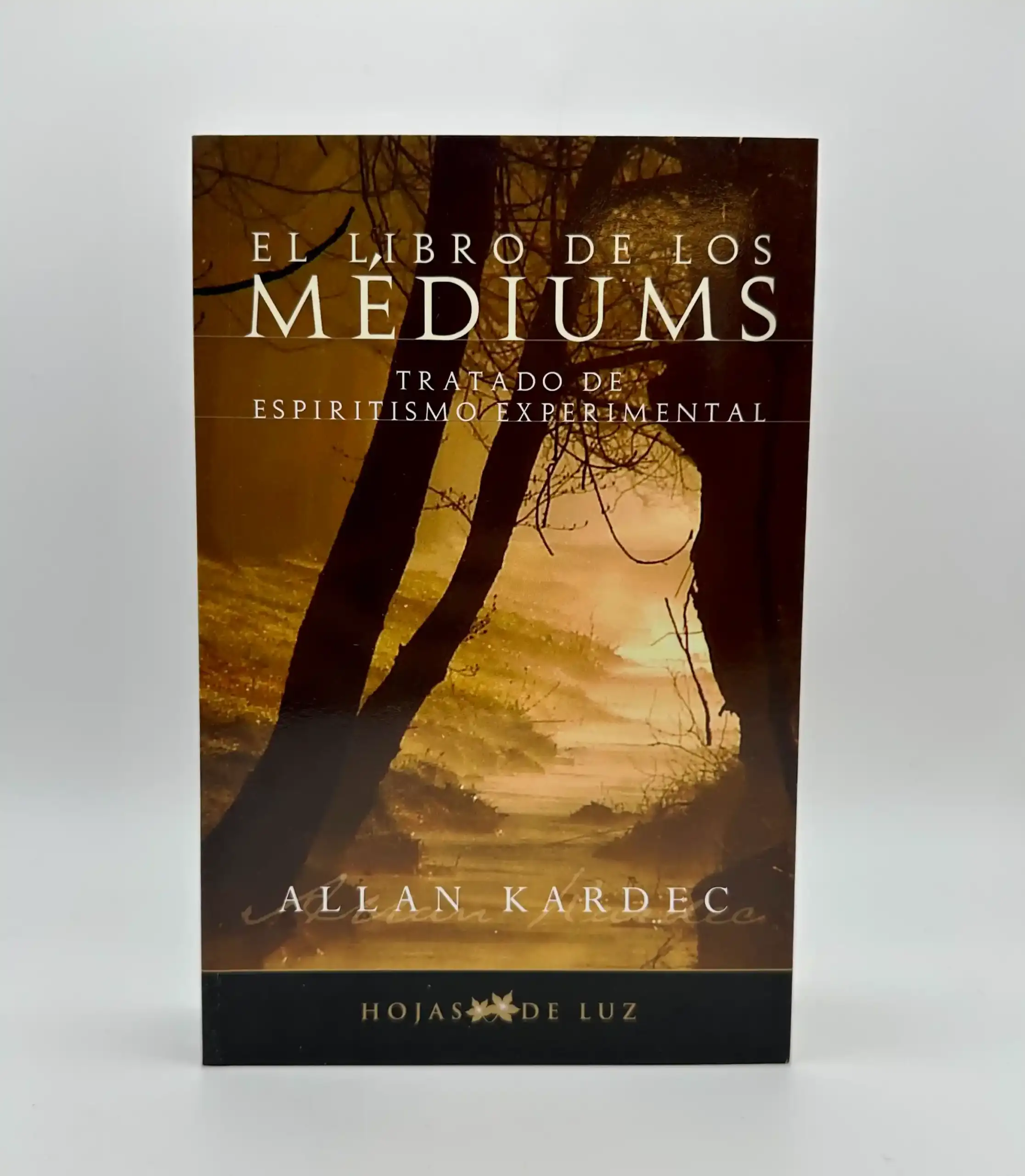 El Libro De Los Médiums